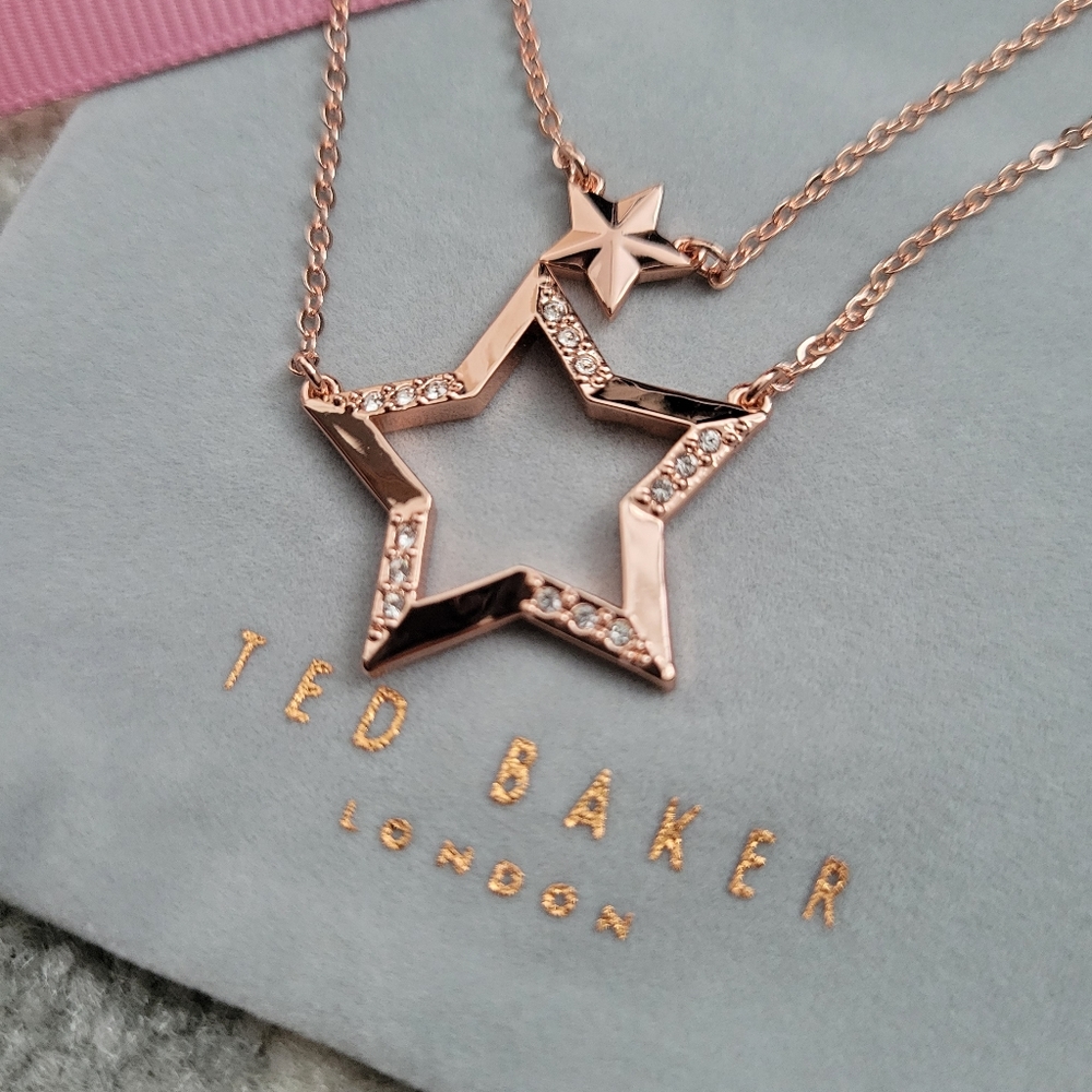 NWT Ted baker London Idolina interstella Necklace